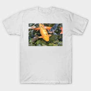 Koi Carp fish T-Shirt